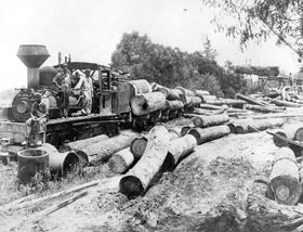 Din presa de altadata