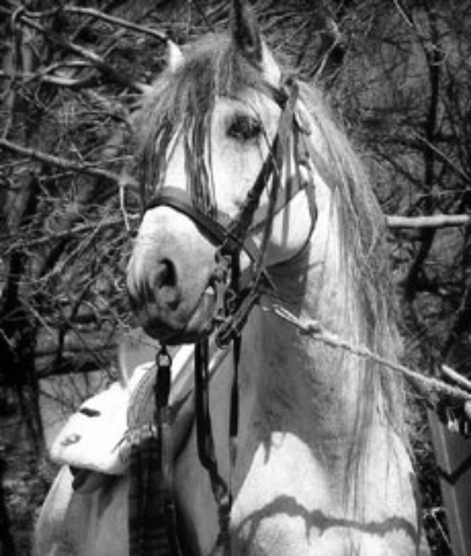 Din presa de altadata