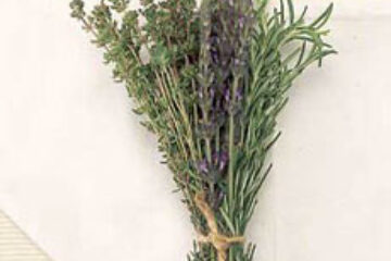 Plantele medicinale conțin substanțe asemănătoare medicamentelor