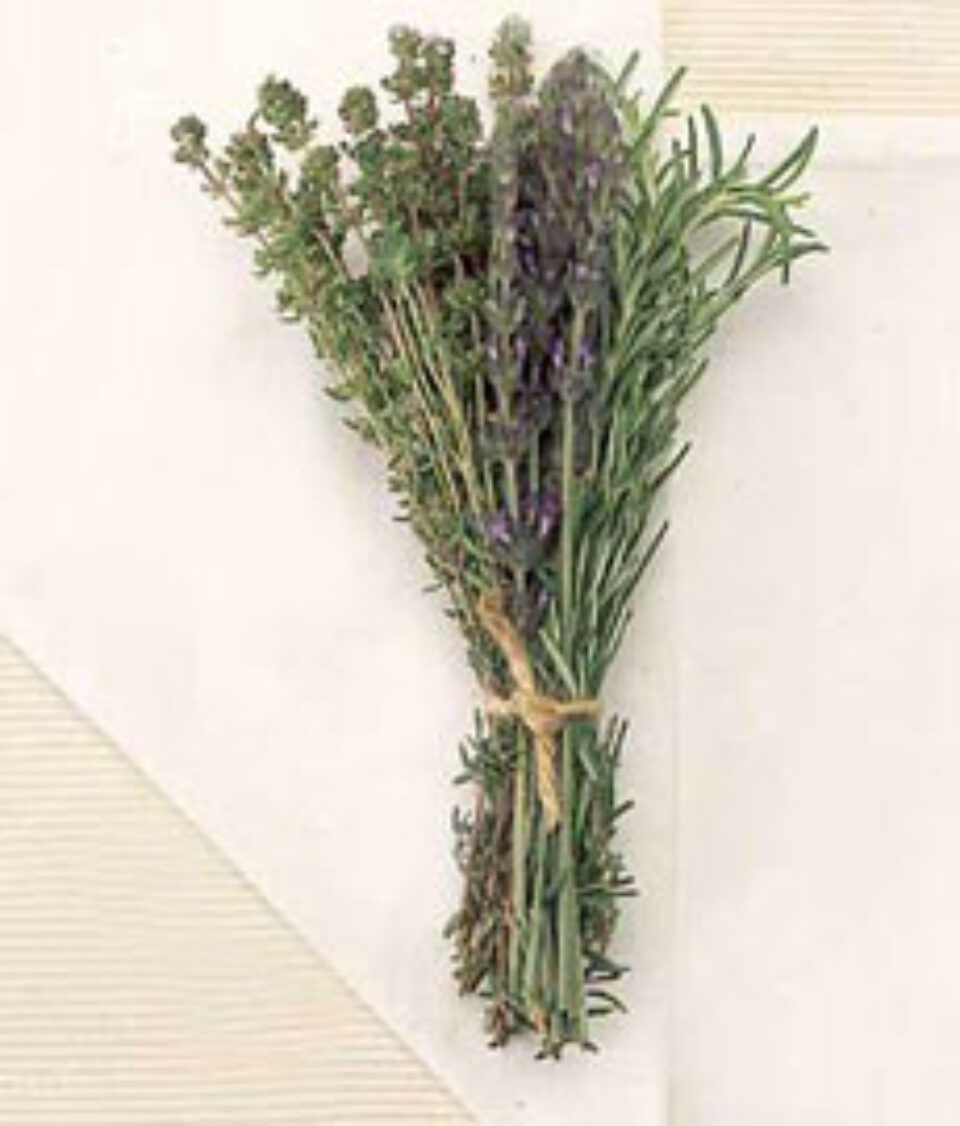 Plantele medicinale conțin substanțe asemănătoare medicamentelor