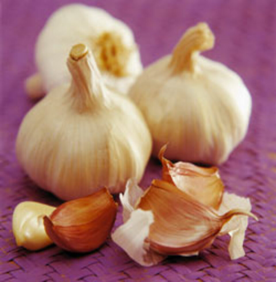 Rețetă tibetană cu usturoi