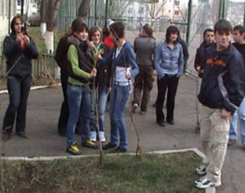 Ziua verde la Colegiul Economic „Dimitrie Cantemir” Suceava Ziua verde la Colegiul Economic „Dimitrie Cantemir” Suceava