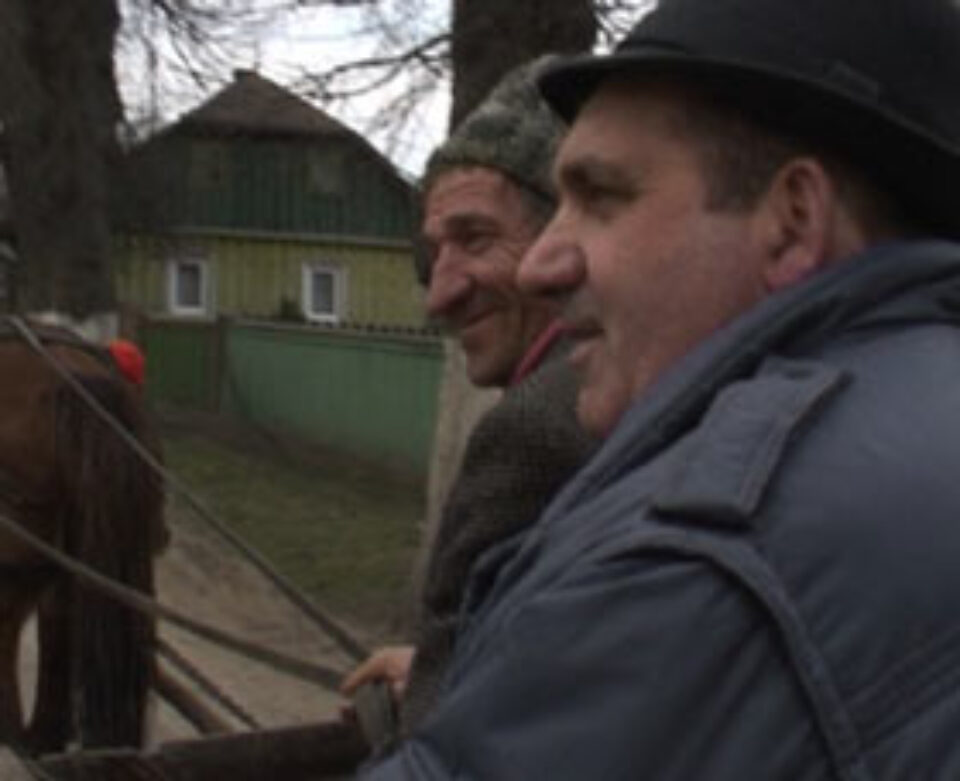 Ghiul de primar Ghiul de primar