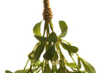 Păducel, talpa gâștei și frunze de vâsc pentru hipertensiune