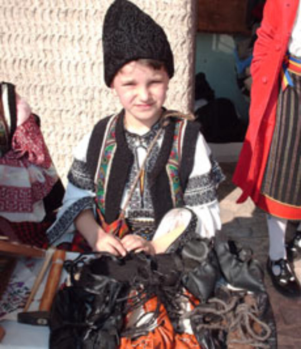 Micul creator popular din Panaci