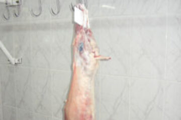 Doar un singur țăran a veni ieri în piețele sucevene să vândă miei