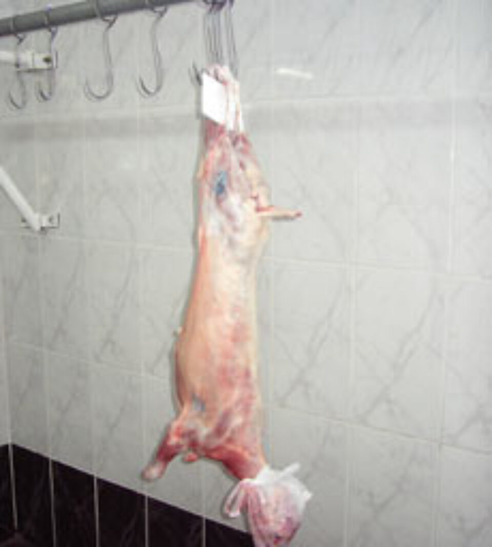 Doar un singur țăran a veni ieri în piețele sucevene să vândă miei