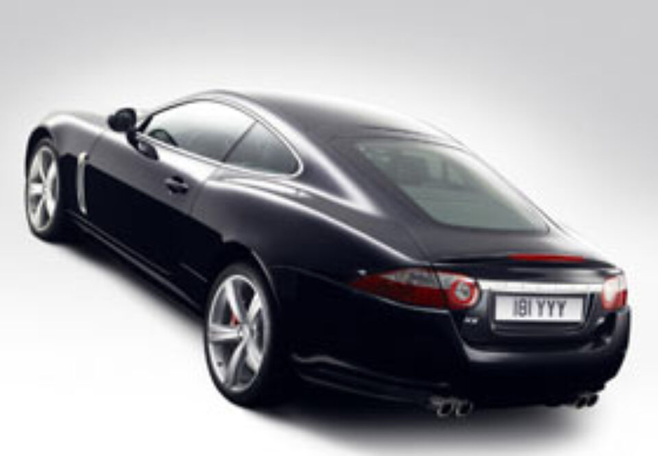 Felina contraatacă Felina contraatacă