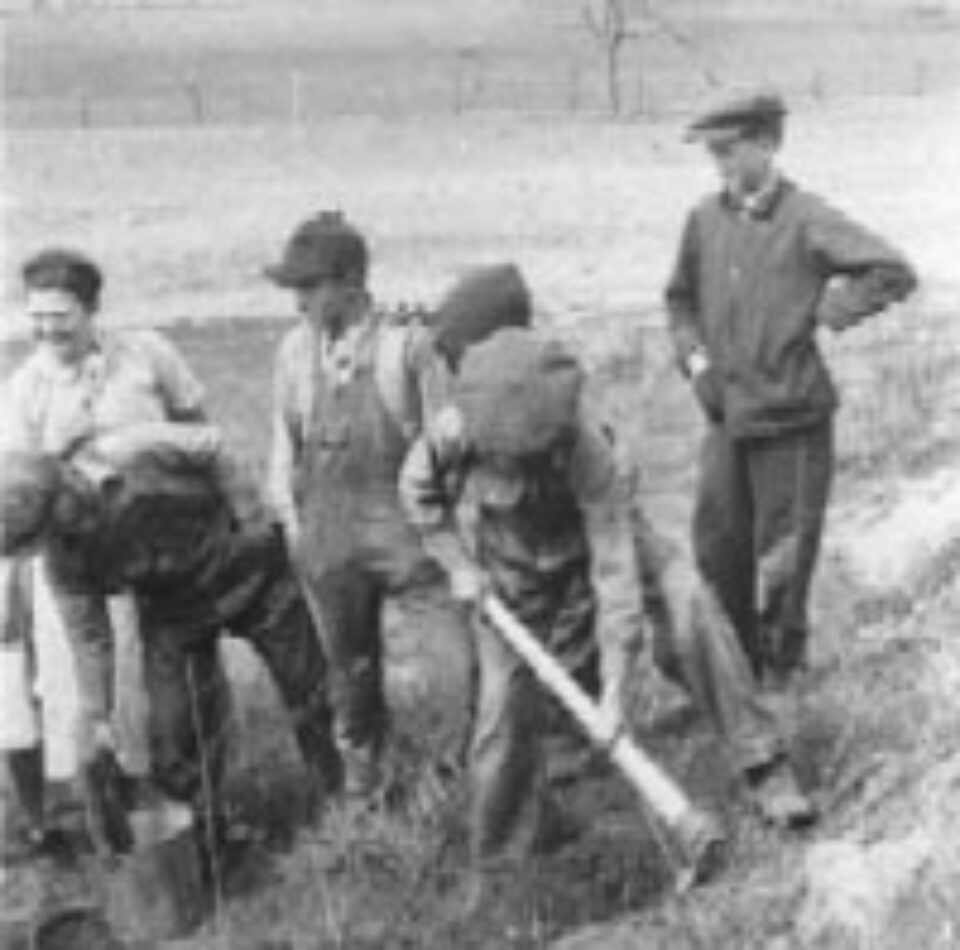 Din presa de altadata