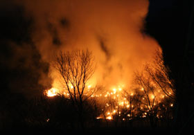 Groapa de gunoi – luni seara