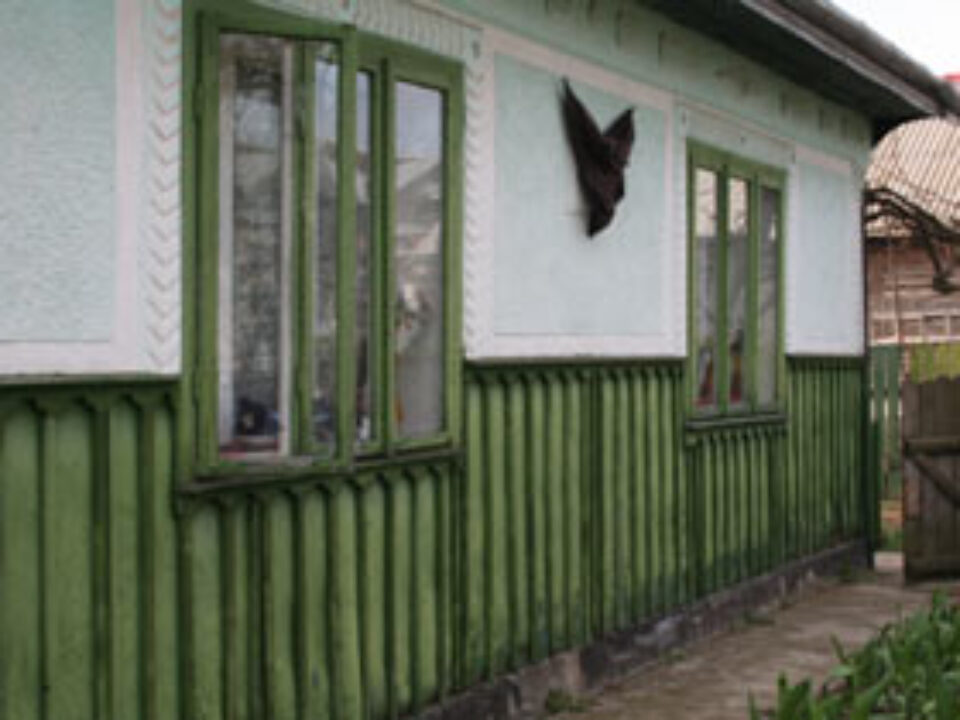 Bătrân în vârstă de 68 de ani, omorât de propriul fiu Bătrân în vârstă de 68 de ani, omorât de propriul fiu