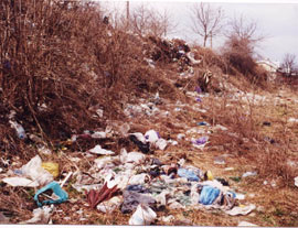 Pajiștile invadate de gunoaie după „grătarele” de Paște, verificate de Garda de Mediu