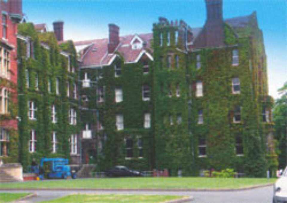 Aproape 3000 de români s-au interesat de locuri legale de muncă în Anglia