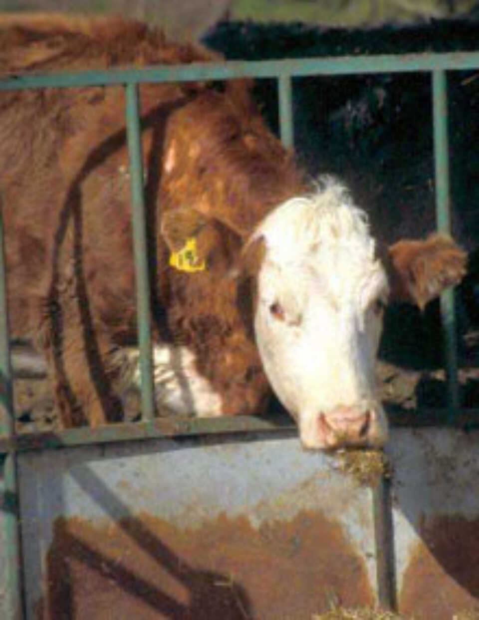 Cursuri gratuite privind protecția mediului în practicarea agriculturii Cursuri gratuite privind protecția mediului în practicarea agriculturii