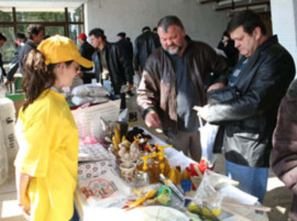 Târgul Apiculturii, desfășurat sub semnul falimentului producătorilor