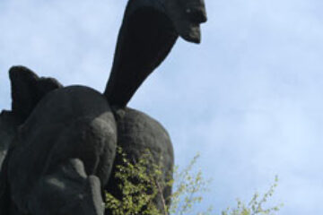 Copac crescut pe statuia lui Ștefan cel Mare