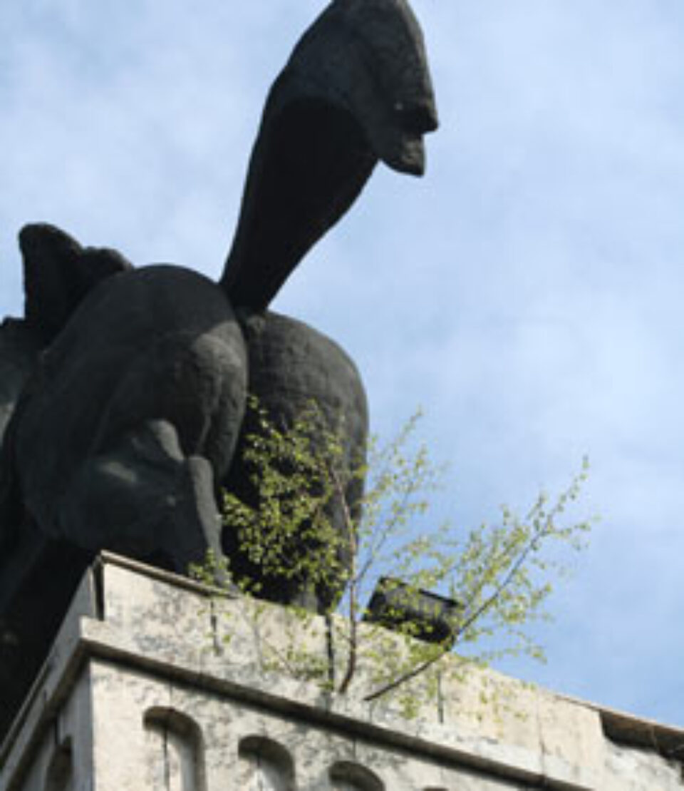 Copac crescut pe statuia lui Ștefan cel Mare