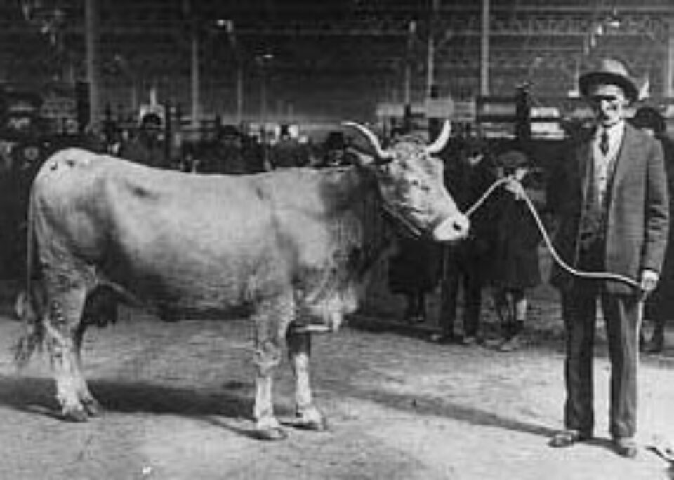 Din presa de altadata