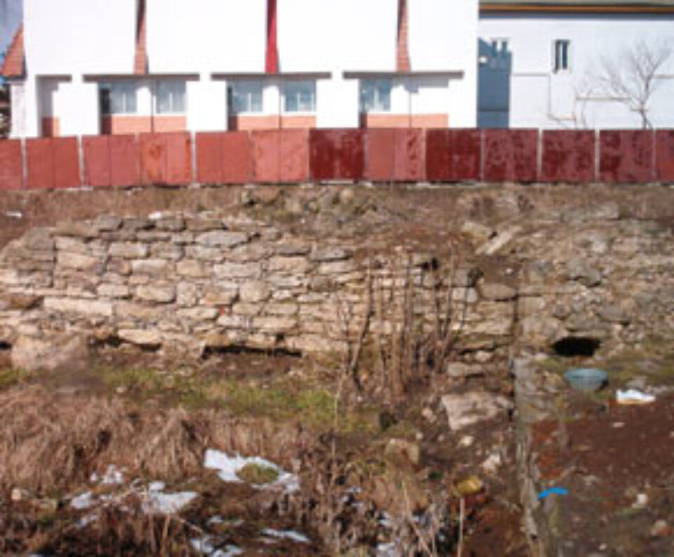 Curtea Domnească, transformată în groapă de gunoi