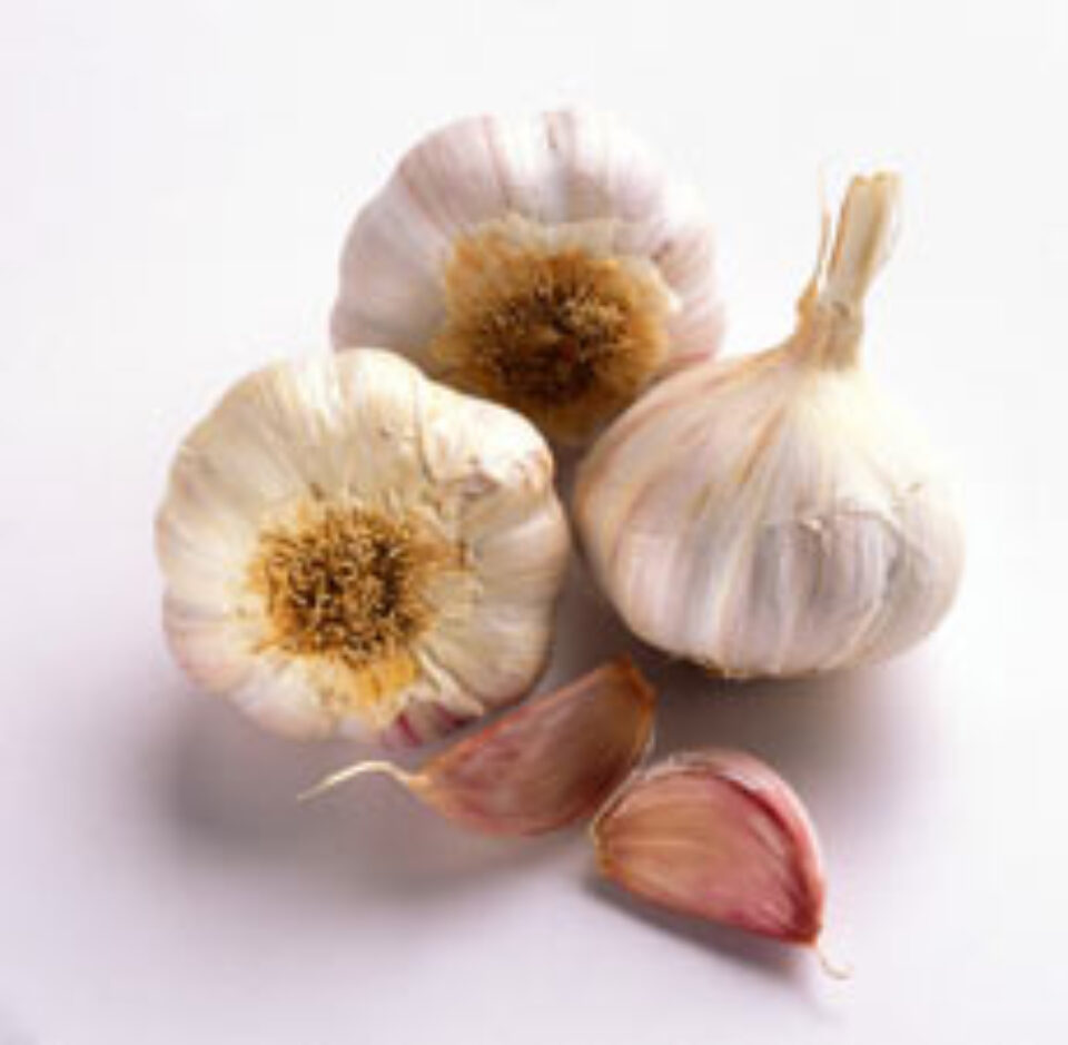 Utilizarea usturoiului ca remediu medical