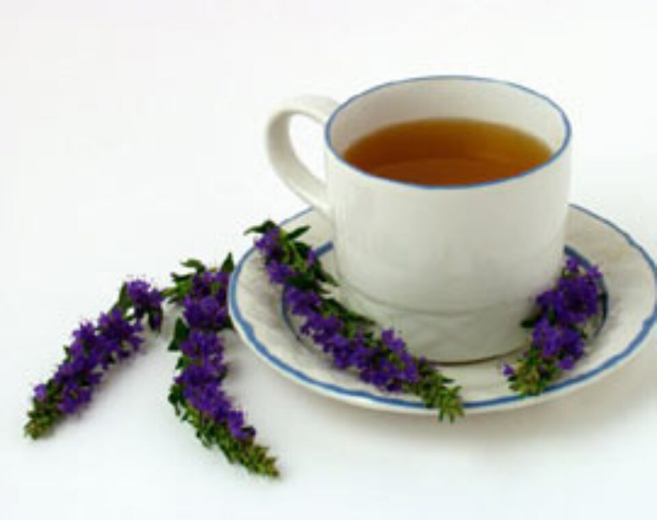 Prietenia plantelor sfinte - ISOPUL