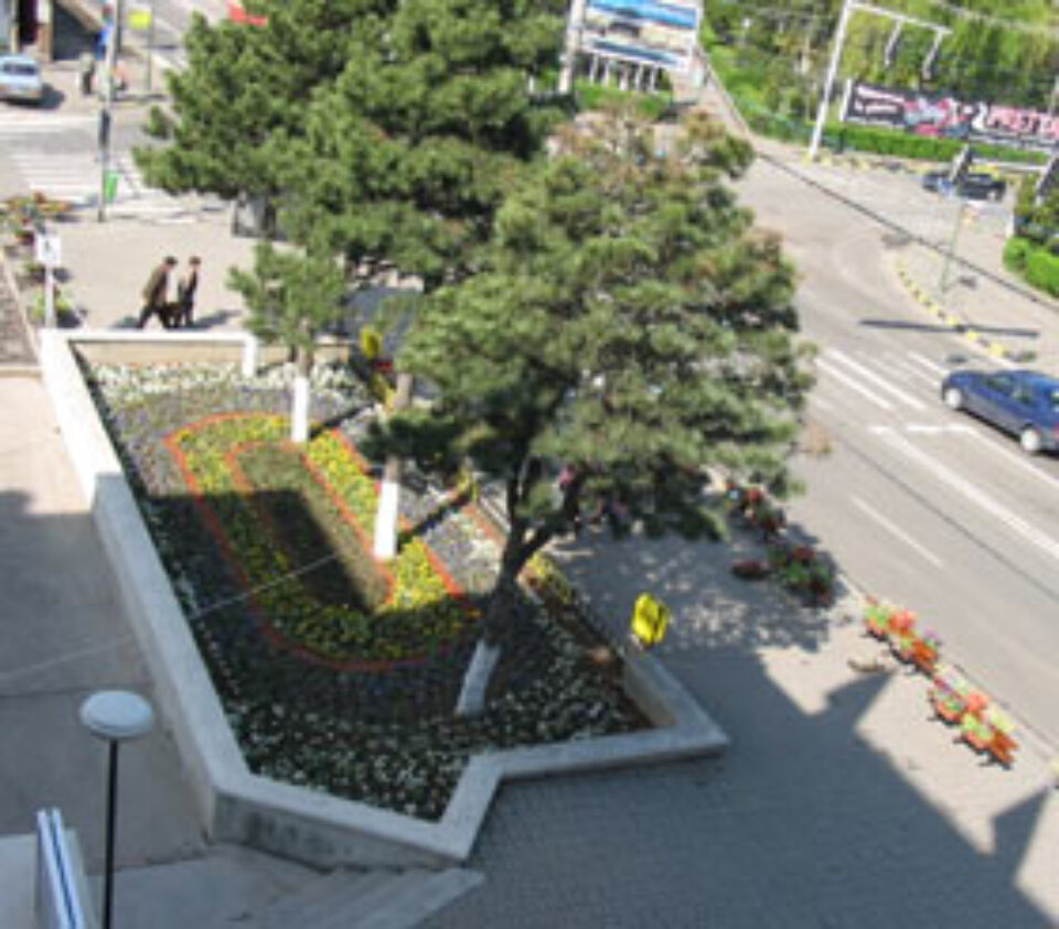 Primăria a început montarea ghivecelor cu flori pe bulevardele din Suceava