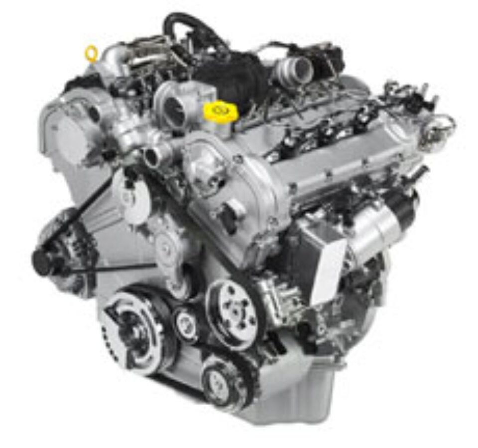 Evoluție și revoluție