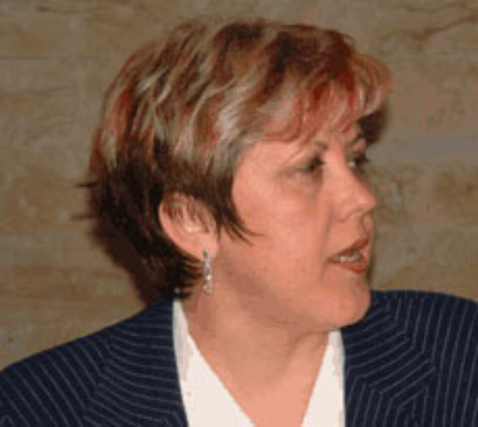 Liberalii suceveni îi acuză pe democrați că folosesc ONG-urile ca instrumente politice