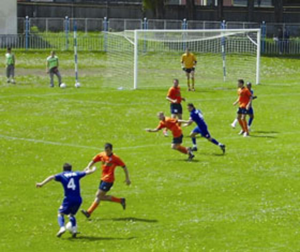 Egal muncit pentru suceveni