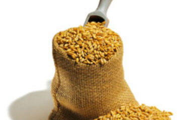 Hrișca previne sângerările nazale