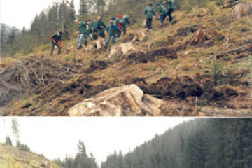 Școala verde de la Ciocănești