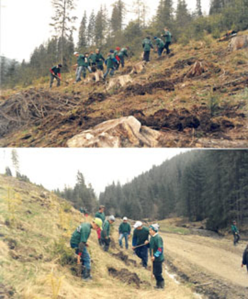Școala verde de la Ciocănești