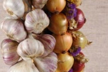 Remedii antimiros pentru amatorii de ceapă și usturoi