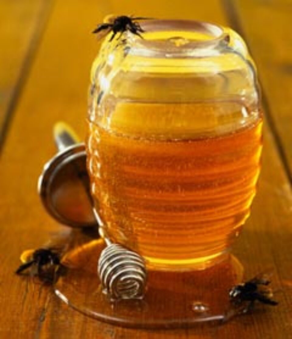 Remedii din farmacia albinelor, pentru vitaminizarea de primăvară Remedii din farmacia albinelor, pentru vitaminizarea de primăvară