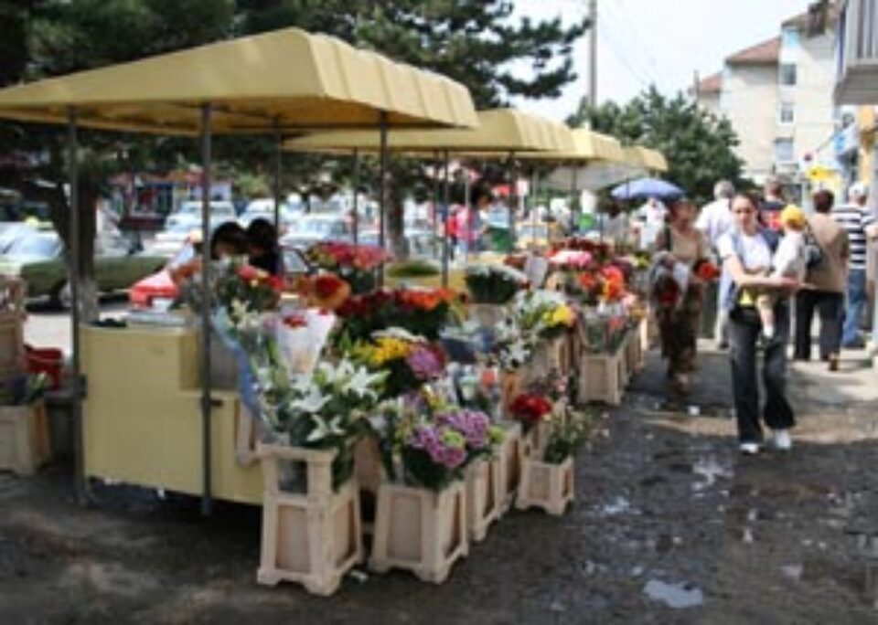 Vânzători de flori din Suceava, amendați de Garda de Mediu Vânzători de flori din Suceava, amendați de Garda de Mediu