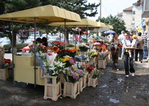 Vânzători de flori din Suceava, amendați de Garda de Mediu