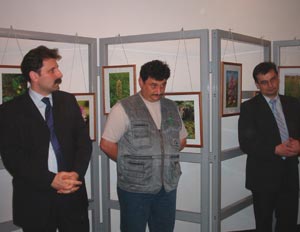 Plante rare și pe cale de dispariție din zona carpatică nord-bucovineană