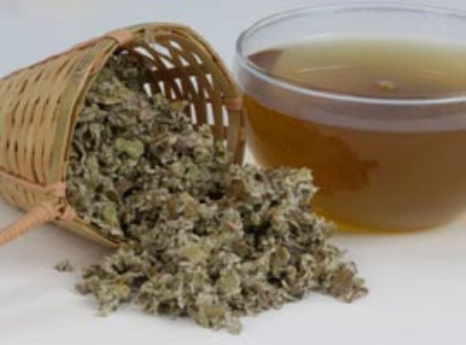 Frunze de podbal, pentru afecțiuni ale aparatului respirator Frunze de podbal, pentru afecțiuni ale aparatului respirator