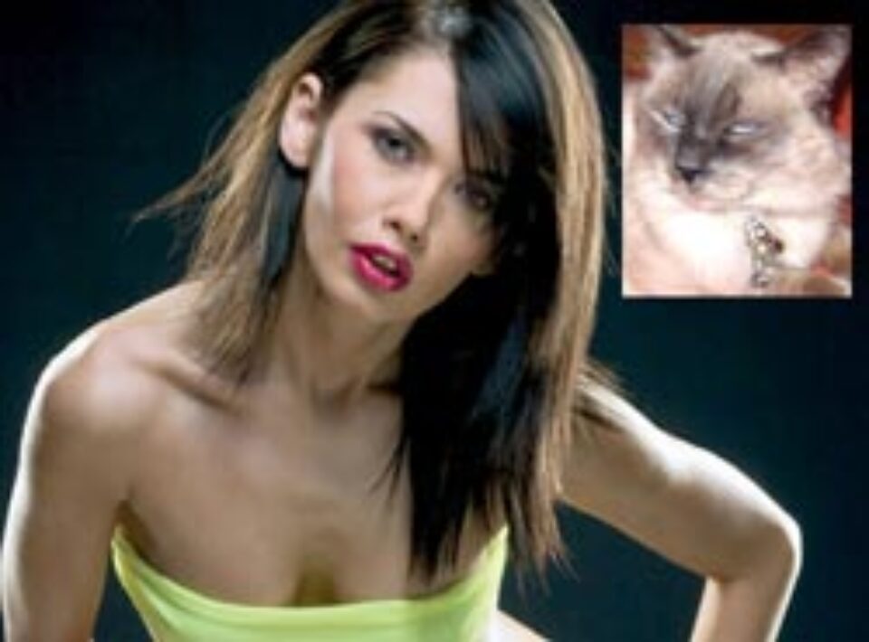 Oana nu îi găsește motanului parteneră pe măsură Oana nu îi găsește motanului parteneră pe măsură