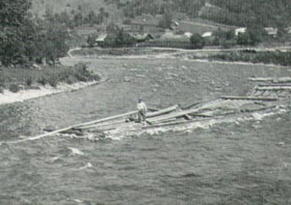 Din presa de altadata Din presa de altadata