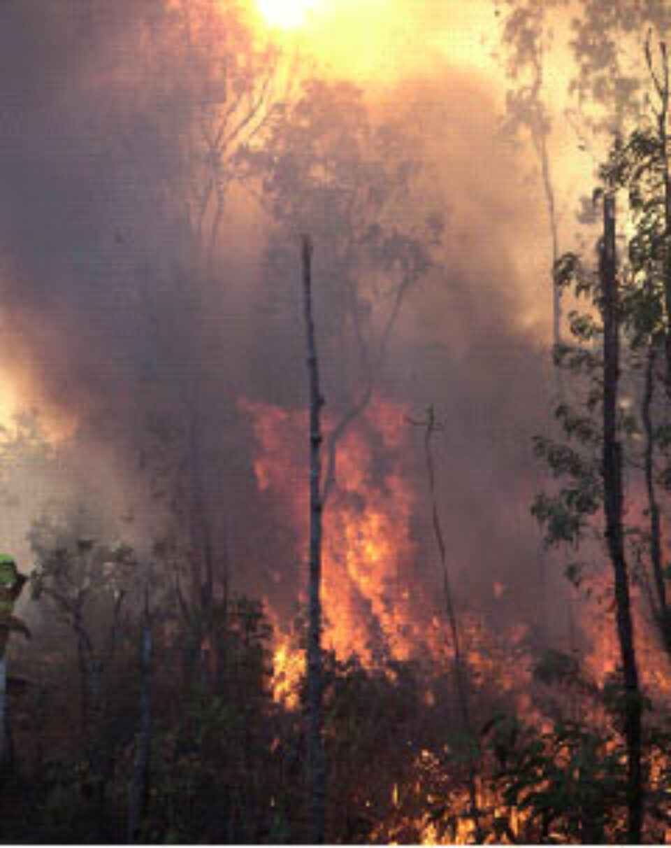 Din presa de altadata Din presa de altadata