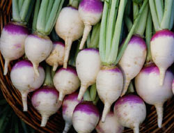 Napii alungă oboseala cronică