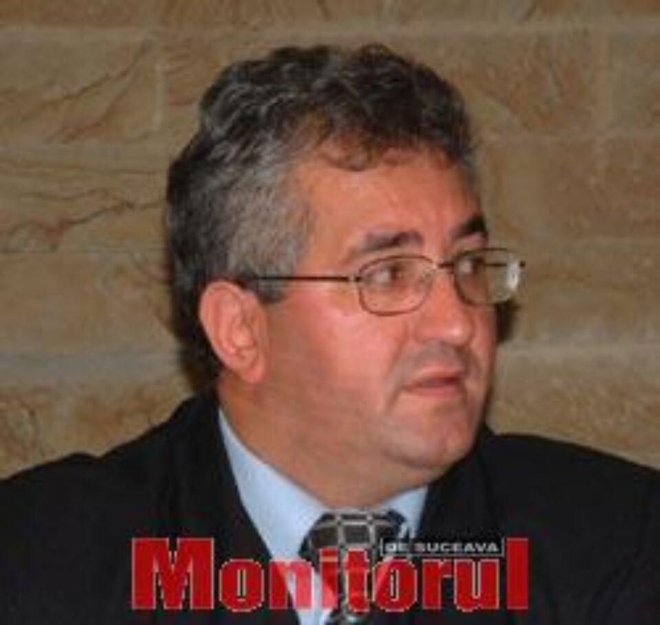 Voltaj și „Lăutarii din Chișinău” vor cânta la Zilele Sucevei