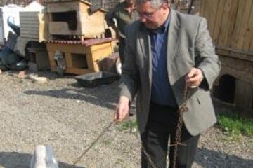 Myke, maidanezul de casă al primarului Sucevei