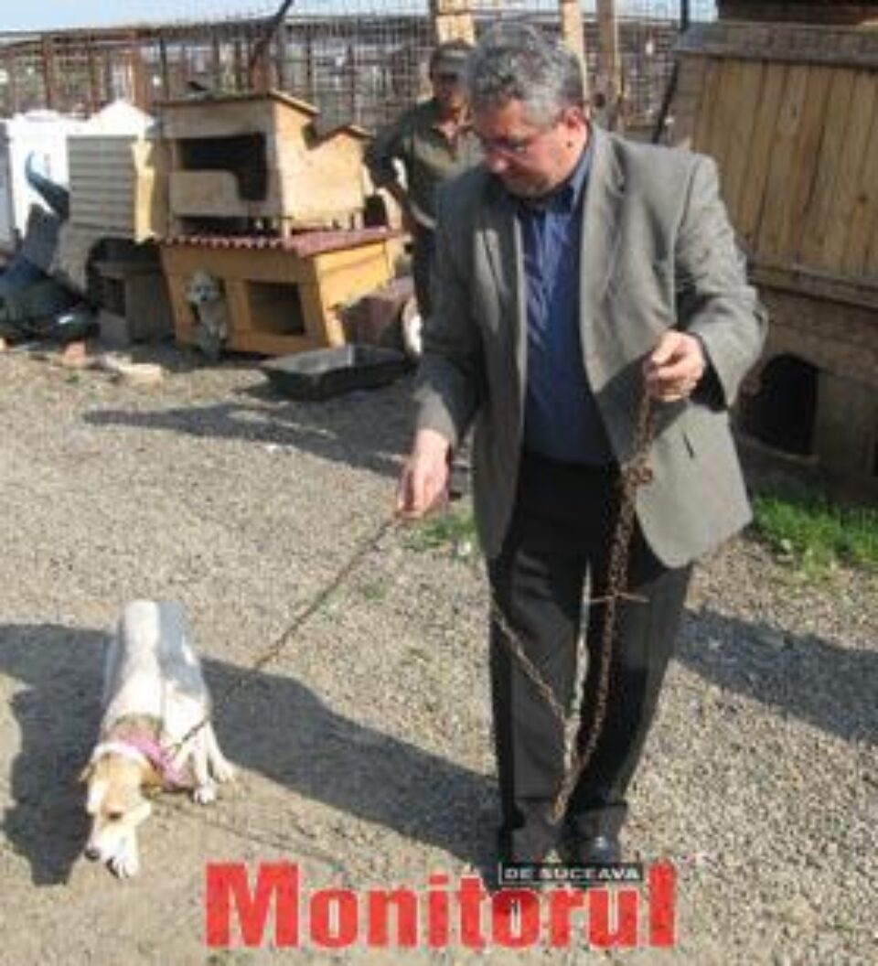 Myke, maidanezul de casă al primarului Sucevei Myke, maidanezul de casă al primarului Sucevei