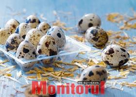 Cura cu ouă de prepeliță