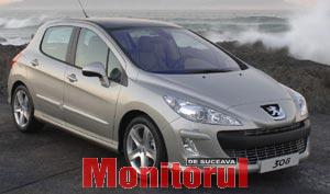 308 ultimul pui al leului francez