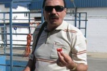 Mihai Capră, primul parlamentar român care le-a vizitat pe căpșunărese