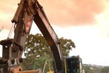 Din presa de altadata