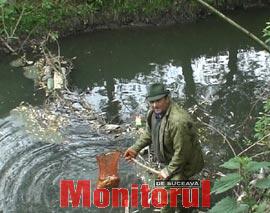 Mii de pești morți, în aval de stația de epurare Fălticeni